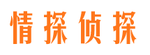 措勤市私家侦探公司